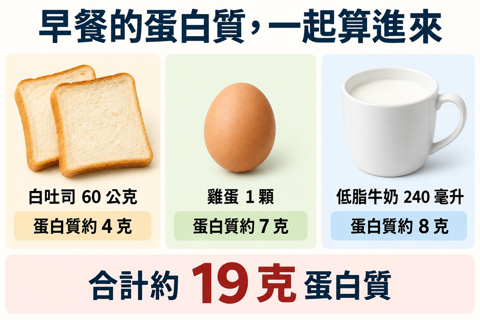 早餐蛋白質加總圖：白吐司 60 公克約 4 克、雞蛋 1 顆約 7 克、低脂牛奶 240 毫升約 8 克，合計約 19 克。